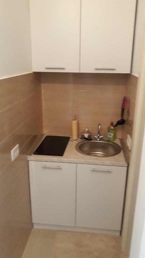 פודגוריצה Apartmani Stijepovic מראה חיצוני תמונה