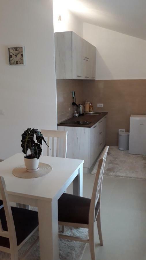 פודגוריצה Apartmani Stijepovic מראה חיצוני תמונה